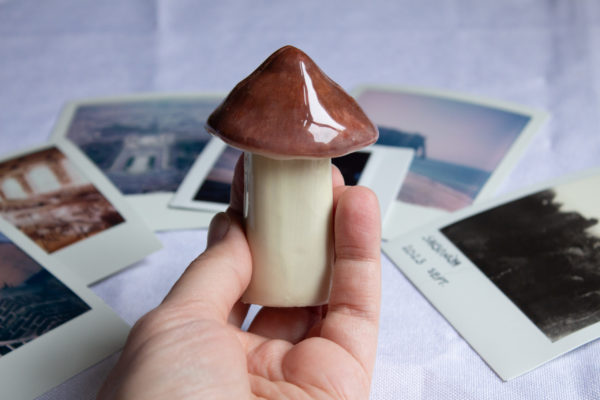 Mushroom picture holder - MADE TO ORDER - Image 5